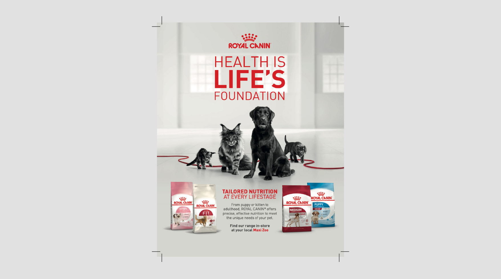 royal-canin-case-study-2.jpg